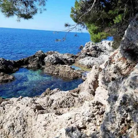 Lejlighed Mira Dubrovnik