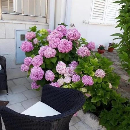 公寓 Mira 杜布罗夫尼克