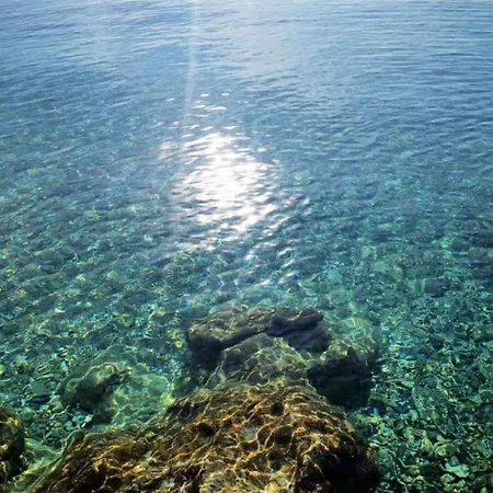 شقة Mira دوبروفينك